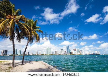 MIami Downtown Business Area,with palm tree on the side - Florida ,United States