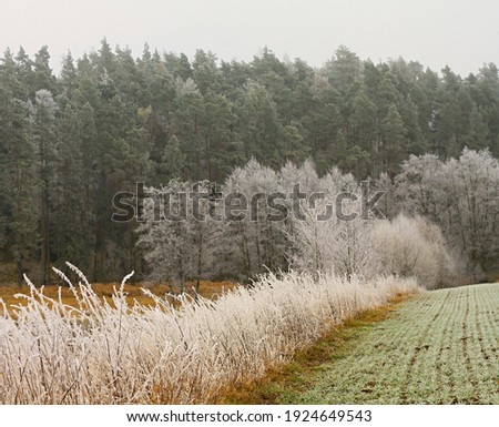 dramatic country landscape scene on a cold and frosty day stock photo