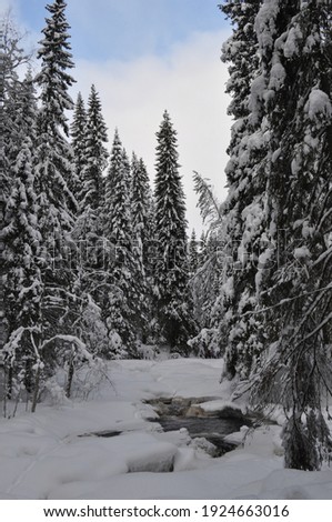Valley of waterfalls, Karelia, winter