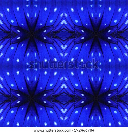 Beautiful Background Pattern designed from Striped Blue Crow Butterfly wings texture