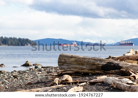 Driftwood logs and freighters on the coast at Transfer Beach Park, Ladysmith, British Columbia, Canada