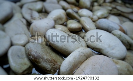 A collection of dirty white stones soaked in a container filled with water