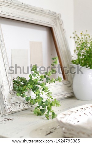 Indoor plants with cute various displays