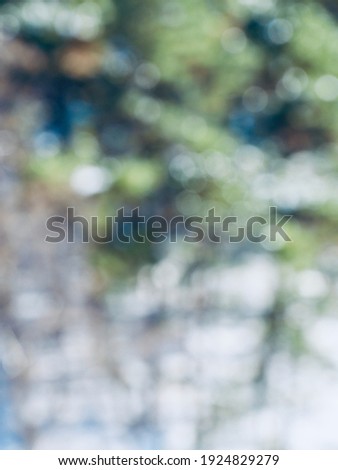 Abstract background of forest bokeh, missed focus