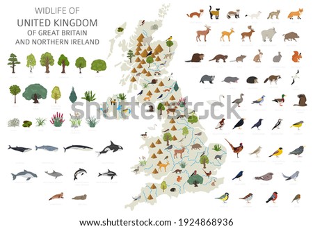 Flat design of United Kingdom wildlife. Animals, birds and plants constructor elements isolated on white set. Build your own geography infographics collection. Vector illustration Royalty-Free Stock Photo #1924868936