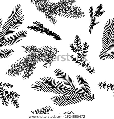 Seamless pattern background with  winter christmas holly, spruce  branches, twigs with leaves, berries. Floral botanical elements. Hand drawn line vector illustration.