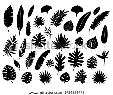 Tropical leaves set. Black silhouette. Jungle forest element. Vector illustration.