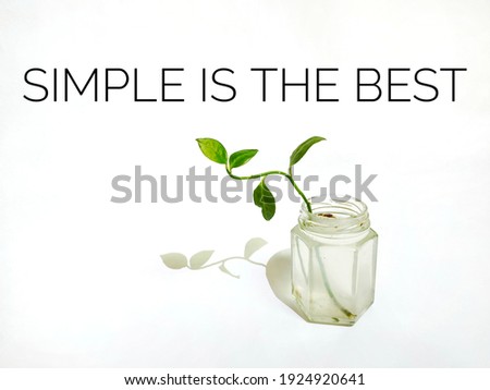 'Simple is the best' motivation quote. Picture of a green plant and shadow in the bottle with blurry water isolated on white background.