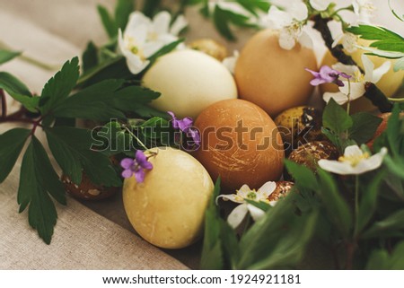 Happy Easter! Modern pastel easter eggs with spring flowers on rustic linen cloth. Natural dyed yellow and brown eggs on grey textile with blooming flowers viola and anemones. Rural still life