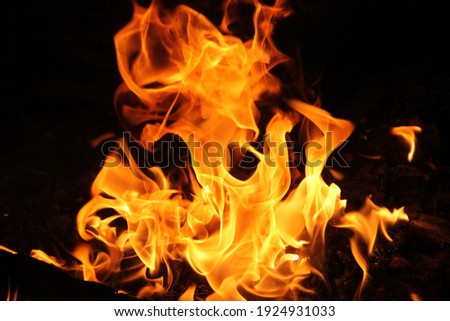 Fire flames on black background. The fire in the natural forest, flames and sparks on a dark background Fuel , lights on a black background.