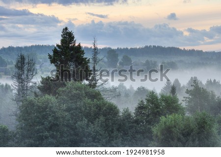 Morning fog in the countryside. Beautiful view of a small village in the forest. Picturesque summer rural landscape. Amazing nature of Russia. Old wooden houses in the distance. Vologda region, Russia Royalty-Free Stock Photo #1924981958