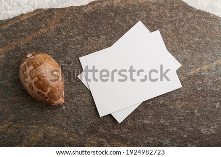 White paper business card, mockup with natural stone and seashell on gray concrete background. Blank, flat lay, top view, still life, copy space.