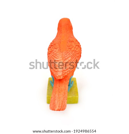 Bright tropical bird isolated on a white background
