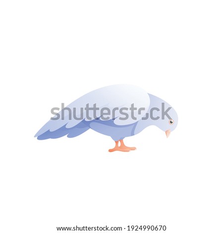 White pigeon dove composition with isolated flat image of bird with wings vector illustration