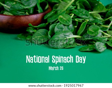 National Spinach Day stock images. Fresh baby spinach leaves on a green background stock images. Spinach Day Poster, March 26. Important day