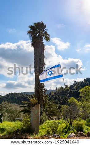 The flag of the State of Israel flies in the wind in a forest plantation near a date palm in northern Israel in the Upper Galilee in northern Israel
