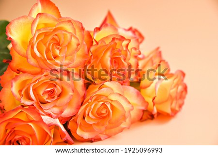A bouquet of red and yellow roses are moving in the frame. A gift for a woman, mom or grandmother. Copy space