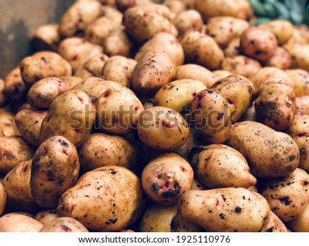 Picture of a group of Irish potatoes