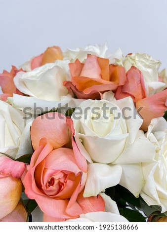 Top view beautiful roses. Floral background