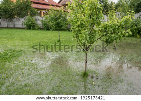 The garden is flooded. Consequences of downpour, flood. Rainy summer or spring Royalty-Free Stock Photo #1925173421