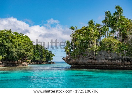 Tropical bay near the duke of york islands in Papua New Guinea Royalty-Free Stock Photo #1925188706