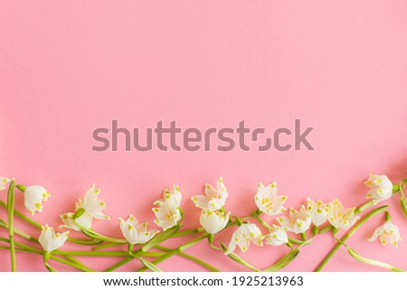 Spring flowers border flat lay on pink paper. Stylish floral greeting card with space for text. White spring snowflakes flowers on pink background. Happy Womens day and Mothers day greetings