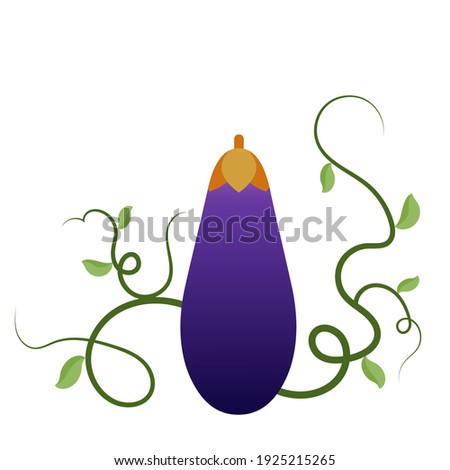 Vector eggplant in a flat style.