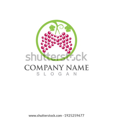 Grapes logo template vector icon illustration design