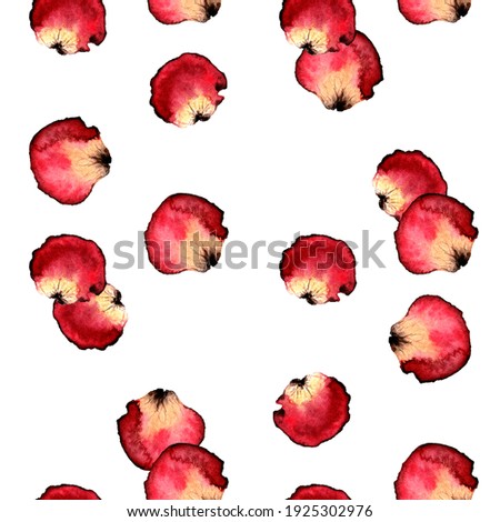 Bunch of petals pink roses isolated on white background clipping path,watercolor drawing rose petal texture red with yellow base on white background for textile postcards background