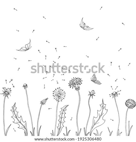 Dandelions. Fly seeds of dandelion. Vector illustration of a sketch. Summer background with flowers and butterfly. Royalty-Free Stock Photo #1925306480