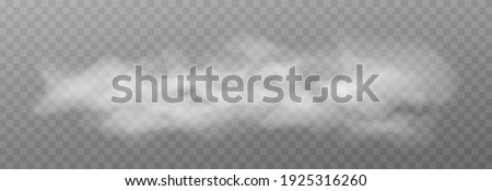 Vector cloud of smoke or fog. Fog or cloud on an isolated transparent background. Smoke, fog, cloud png. Royalty-Free Stock Photo #1925316260