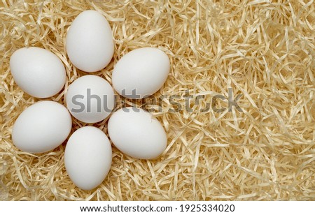 White chicken eggs in the form of a chisel on wood shavings. Easter. Shooting from above close up. Pattern. Place for text.