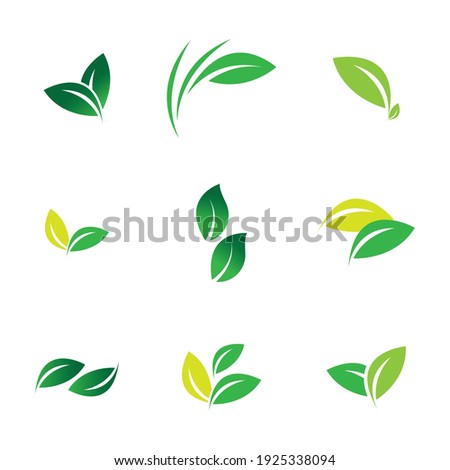 Leaf set Logo Vector illustration design template - Vector