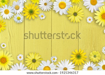 Spring composition. White and yellow daisy flowers on yellow wooden tabletop background.