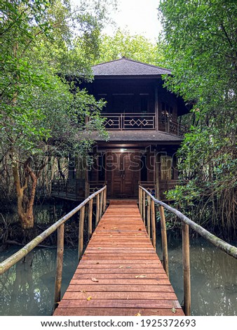 Wooden Houses in Mangrove Forest