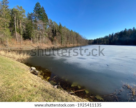 Late winter and early spring on the Waldweiher pond and in the protected natural area of Landforst, Gattikon - Canton of Zürich (Zuerich or Zurich), Switzerland (Schweiz)