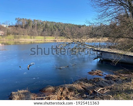 Late winter and early spring on the Gattikerweiher pond and in the protected natural area of Landforst, Gattikon - Canton of Zürich (Zuerich or Zurich), Switzerland (Schweiz)