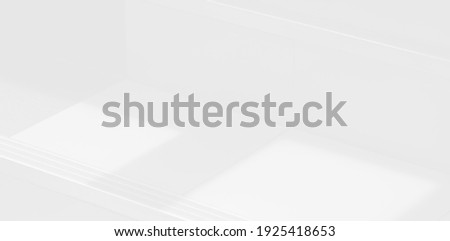 Abstract Shadow. blur background. gray leaves that reflect concrete walls on a white wall surface for blurred backgrounds and monochrome wallpapers. Royalty-Free Stock Photo #1925418653