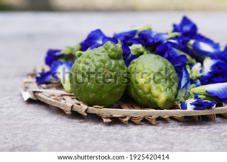 Butterfly pea flower, a blue flower that has many useful medicinal properties. In a wooden basket on a table in the garden