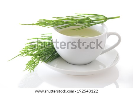 Field horsetail (Equisetum arvense) tea isolated on white background Royalty-Free Stock Photo #192543122