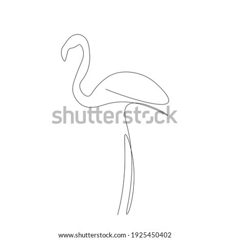 Flamingo bird animal line drawing, vector illustration
