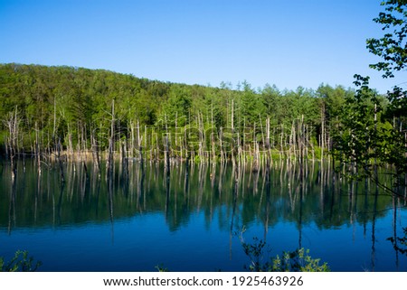 The surface of a blue pond that reflects the fresh green mountains of spring

