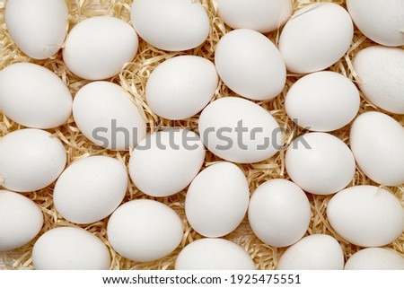White chicken eggs on wood shavings. Easter. Shooting from above close up. Pattern. Background.
