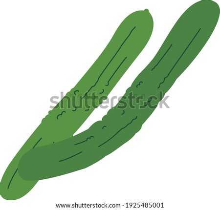 simple color clip art of cucumber