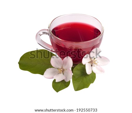 Glass cup of Hibiscus tea with apple flowers and leaves isolated on white