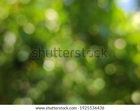 blur abstract background. blur green leaf background. Spring background, green tree leaves on blurred background