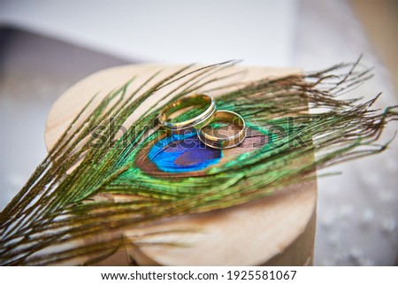 Golden rings. wedding paraphernalia. newlyweds