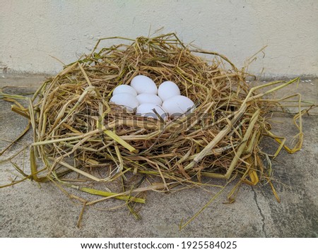     hen eggs in the hay nest.