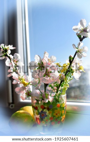 a blooming sprig of cherry in a glass on the windowsill