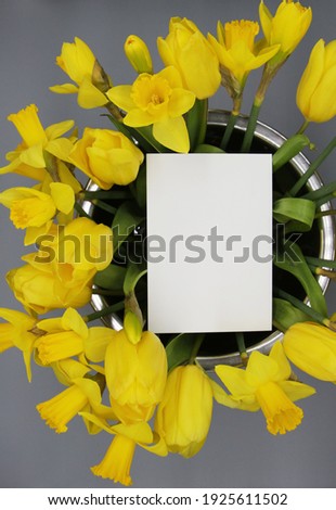 silver vase with illuminating yellow tulips and narcissus flowers on the ultimate gray background, empty white card in the middle. modern floral arrangement, top view, copy space